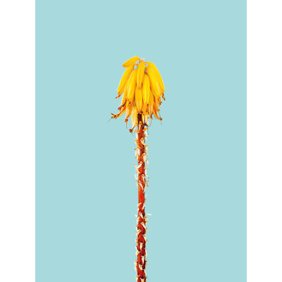 Magnetic Glass Photo Memo Board