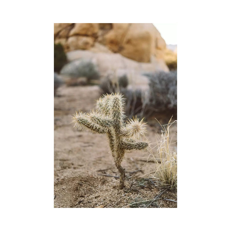Joshua Tree National Park XVI by Bethany Young - Print on Canvas, Wrapped Canvas, 30.48cm H x 20.32cm W x 1.91cm D