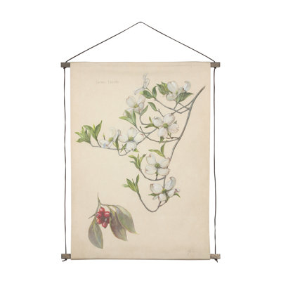 «Botanical Study» - Prunus Padus a, reproduction d'art encadrée à la main