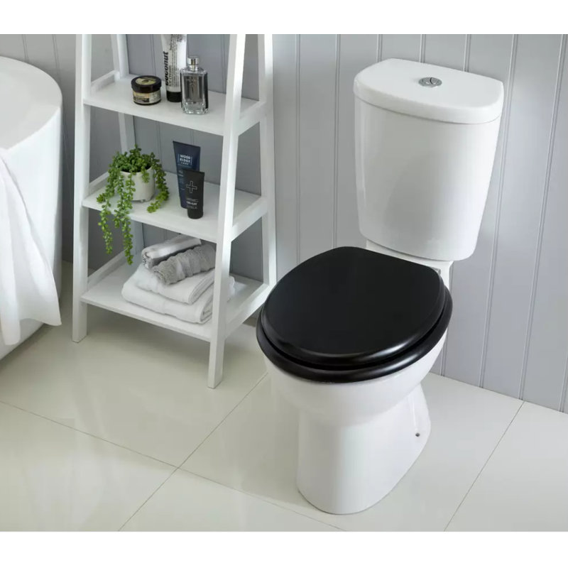 Actaeon Soft Close Elongated Standard Toilet Seat, Black