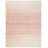 Teagan Ombre Indoor Rug-11914729