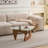 Modern Glass Coffee Table-1985918777-1982229639