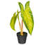 17'' Faux Plant in Pot
