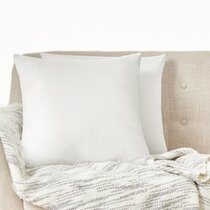 https://assets.wfcdn.com/im/66529198/resize-h210-w210%5Ecompr-r85/1532/153224916/Alonna+Velvet+Pillow+Cover.jpg