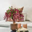 Fleurs et tiges de glycine-479851214