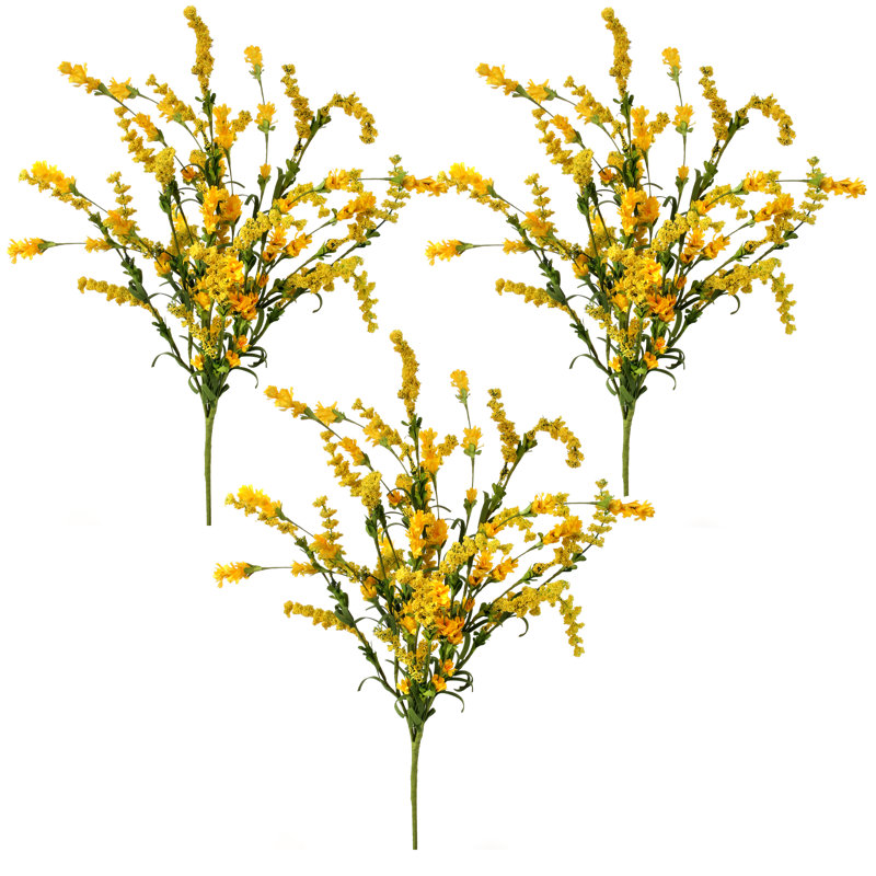 22 po Clover Berry Bush, Jaune