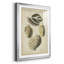" Vintage Shell Study I "-1030002257-1030002261