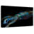 Bigfin Reef Squid-851656320