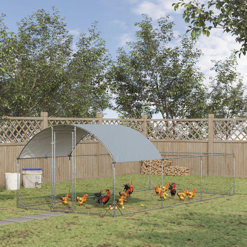 Grand poulailler en métal pour poulets PawHut
