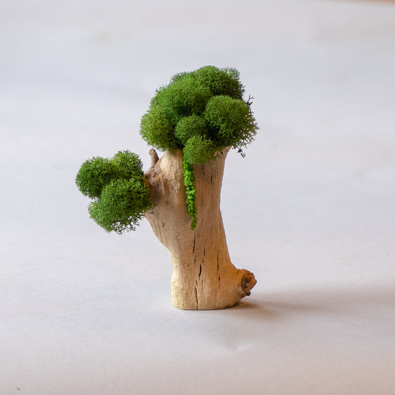 Dempsey Landscape & Nature Figurines & Sculptures
