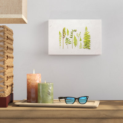 Flat Lay Ferns I by Felicity Bradley - No Frame Print on Canvas