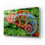 Art mural en verre acrylique épique «Caméléon panthère avec fond» par Tim Jeffs, 16 po x 12 po