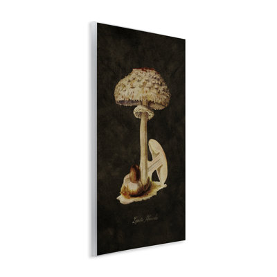 Vintage Mushroom Study Wall Plaque Art by Tina Higgins Designs, Inc.