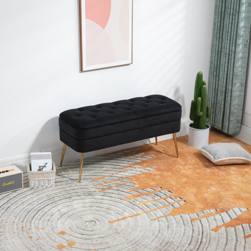 Banc de rangement en velours Aliasgar, Noir