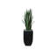 Faux Snake Plant (Sansevieria) Plant in Planter