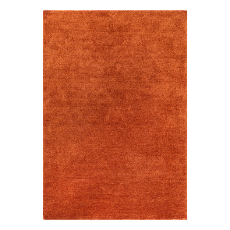 Aikin Solid Colour Shag Area Rug