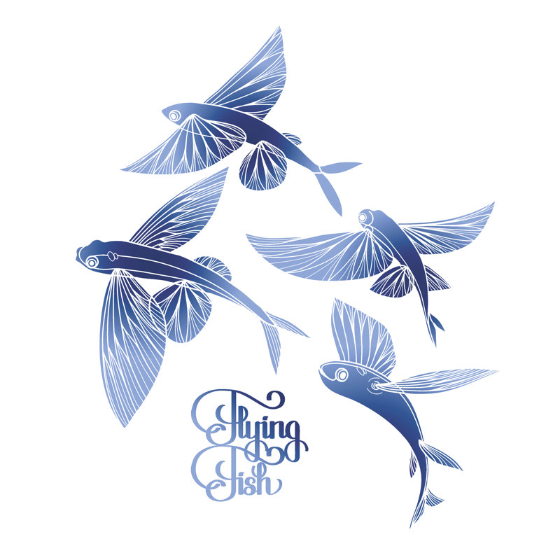 " Graphic Flying Fish " by Homunkulus28, 36" W x 36" H