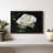 Dewdrops On White Rose Canvas Print-102858802