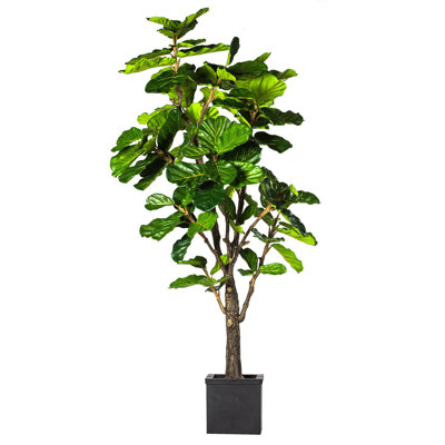 Faux FIDDLE LEAF Tree