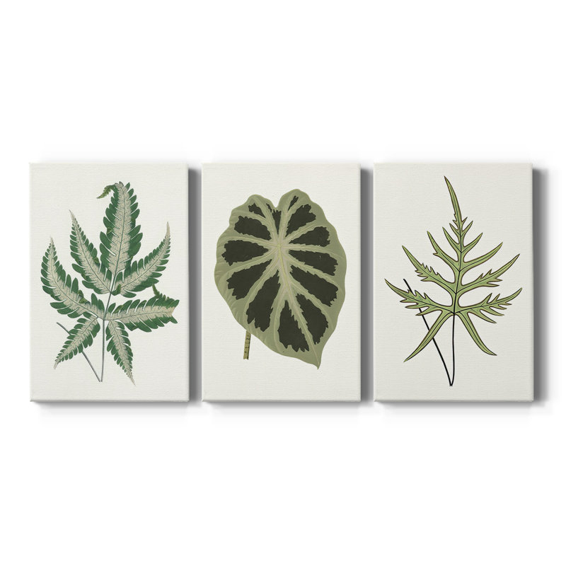 Collected Leaves VI  -Custom Wrapped Gallery Canvas - 3 Pieces, 27" H x 54" W