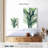 Harnek Vibrant Botanicals II-108422355