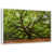 Floating Frame White