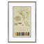Lichen Study, John Peter Westring, 1808 par Paul Cezanne - Ensemble de 6 impressions sur papier encadrées