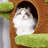 58.3" Tree-Inspired Multi-Level Cat Tree with Condo and Perches-917216659