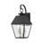 Anselm Solid Brass Wall Light