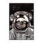 « astronaute sloth selfie », art-49839851-49839844