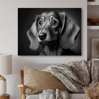«Montrail Portrait of a Black Dachshund IV», reproduction sur toile