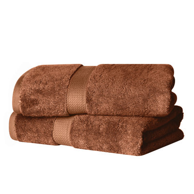 Renata 800 GSM 2 Piece Certified Egyptian Cotton Bath Towel Set 
