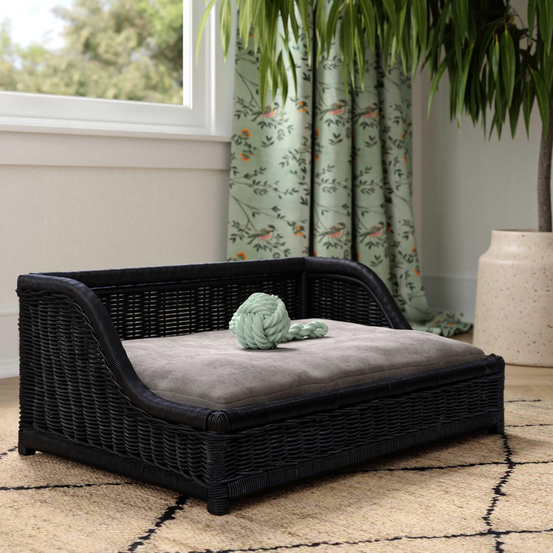 Bersum Black Rattan Small Pet Bed Lark Manor™