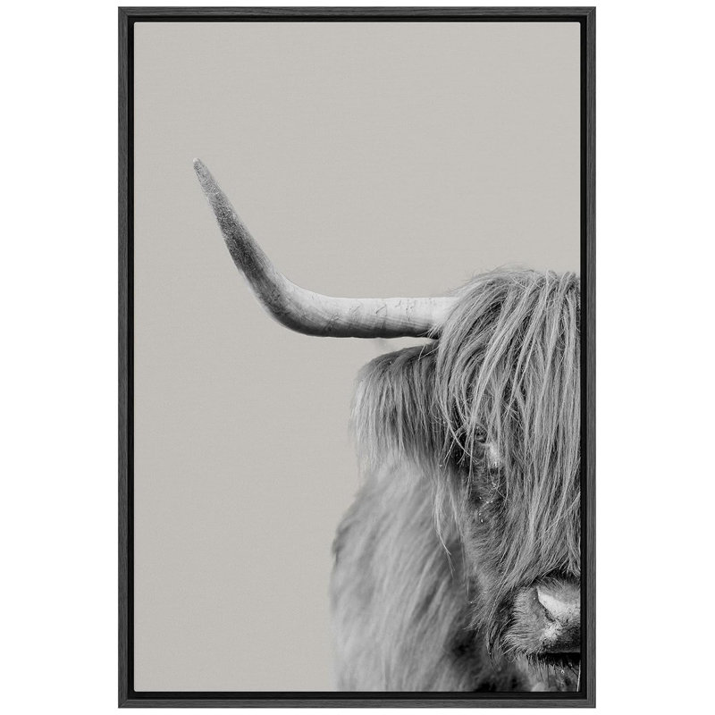 Cow " Half Of Shetland Cow Animals Artwork Photography Farmhouse/Country Portrait Relax/Calm Duotone ", Black