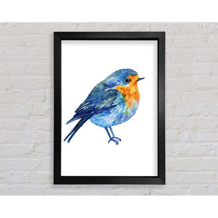 Robin - Single Picture Frame Print