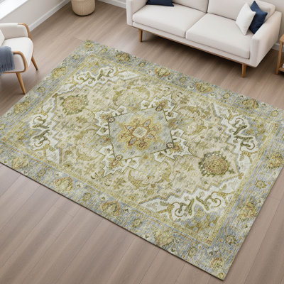 Premium Machine Washable Mayfield AMF2163 global Rug