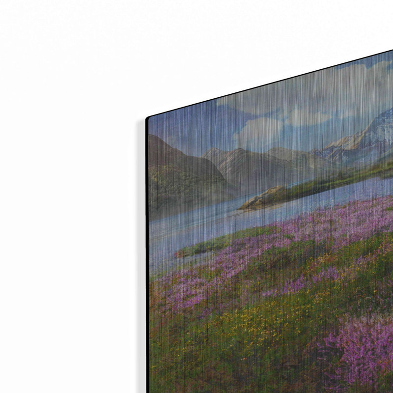 «Heather Écosse» par Chris Vest - impression sans cadre sur métal, H 16 po x l 24 po x P 0,13 po