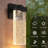 Wall Sconces