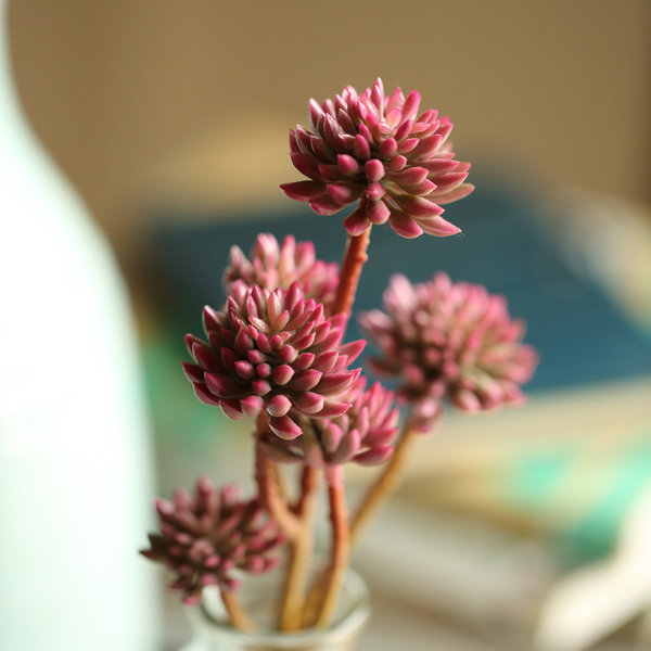13'' Faux Succulent, Red