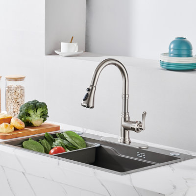 Pull Down Single Handle Kitchen Faucet with Deck Plate