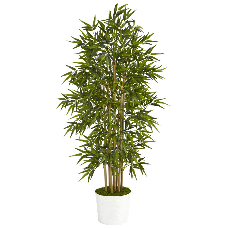 64'' Faux Bamboo Tree in Metal Planter