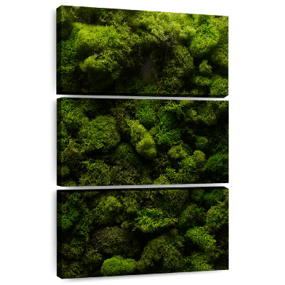 " Thick Moss " 3 - Pieces
