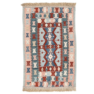 Hand Knotted Wool Area Rug in Multi