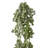 18" Plastic Natural Touch  Vine-850913619