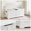 Cinderford Camp Trunk / Footlocker-1531851033