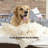 PETMAKER 4-Panel Indoor Foldable Pet Gate-44859693