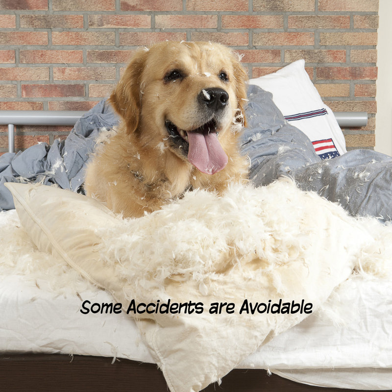 White 4-Panel Freestanding Metal Pet Gate for Stairs and Doorways