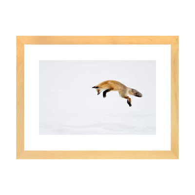 " USA, Yellowstone National Park, Wyoming. A Red Fox Leaps For His Prey Hiding Under The Snow. " by Deborah Winchester