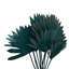 Tige de palmier Forsyth-2073409832
