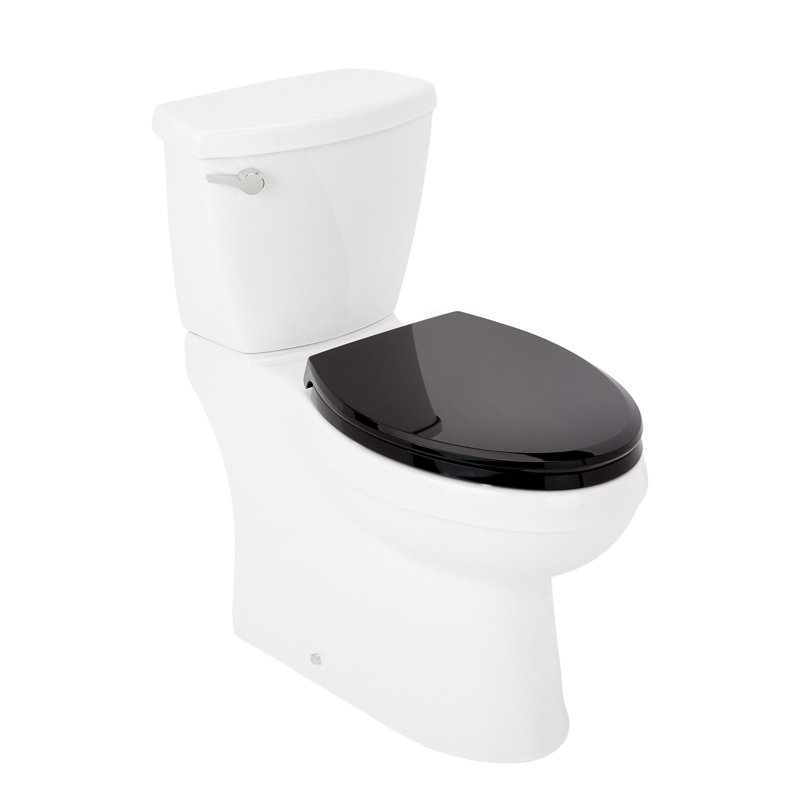 Bradenton 1.28 GPF Two Piece Elongated Toilet, Black